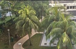 Blk 768 Pasir Ris Street 71 (Pasir Ris), HDB 4 Rooms #568912641